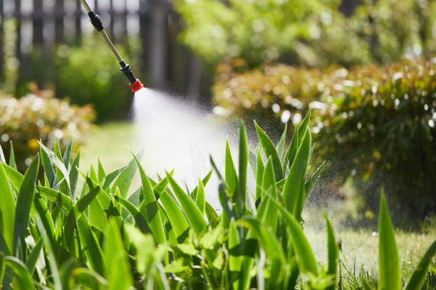 24/7 Emergency Mosquito Control experts in Mesilla, NM