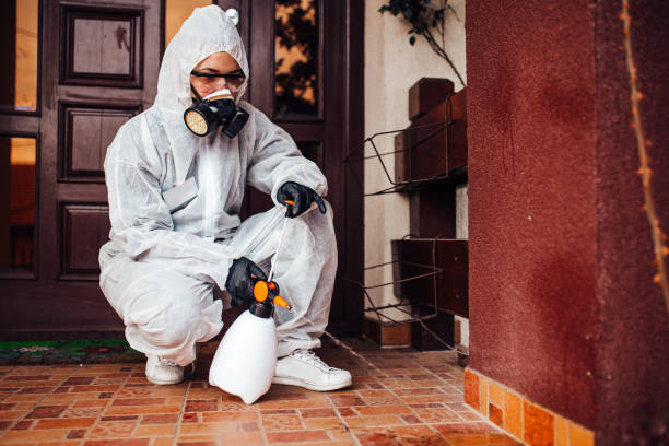 Reliable Mosquito Control contractor in Mesilla, NM by Show Me Pest Control